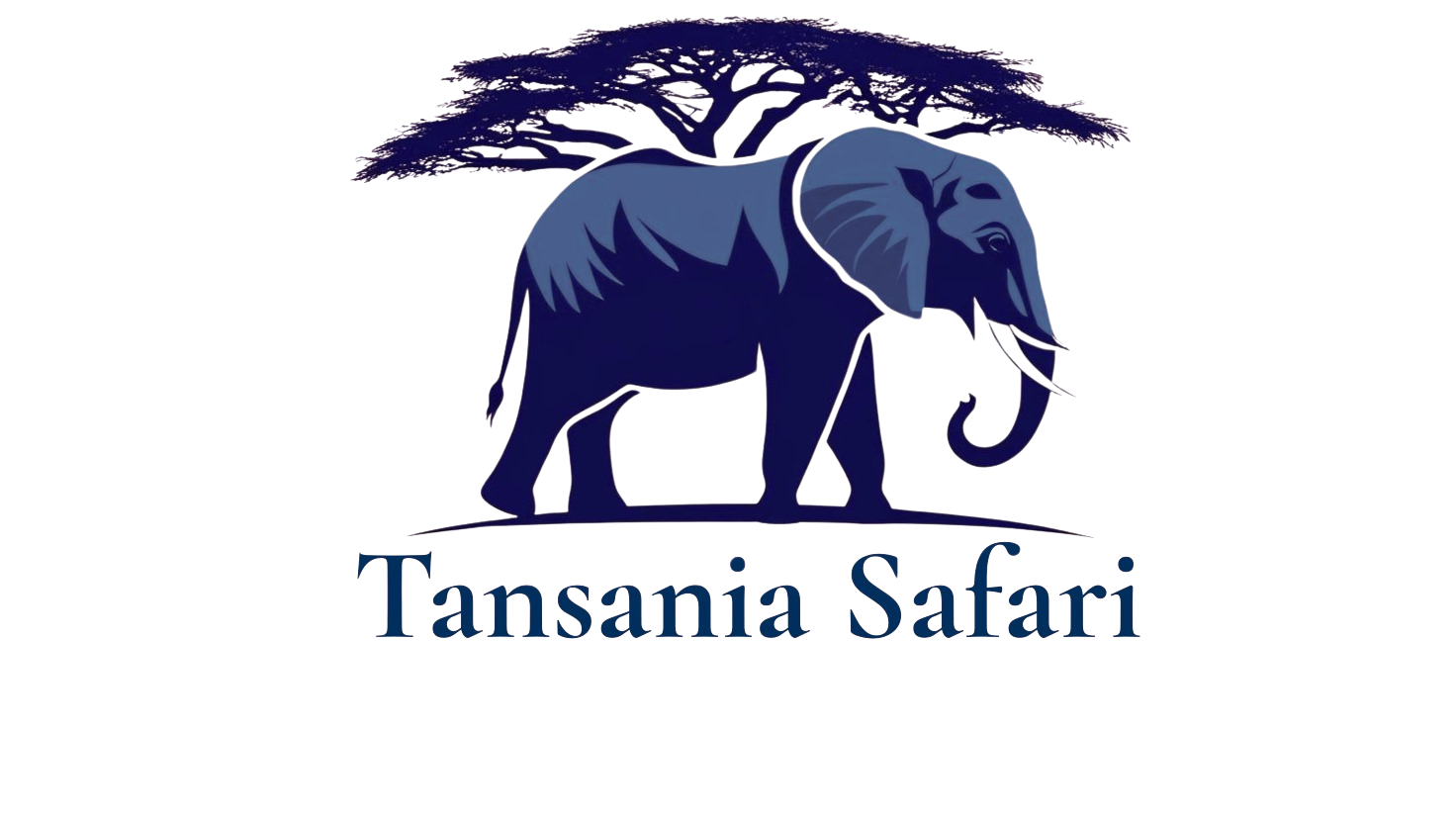 Tansania Safari